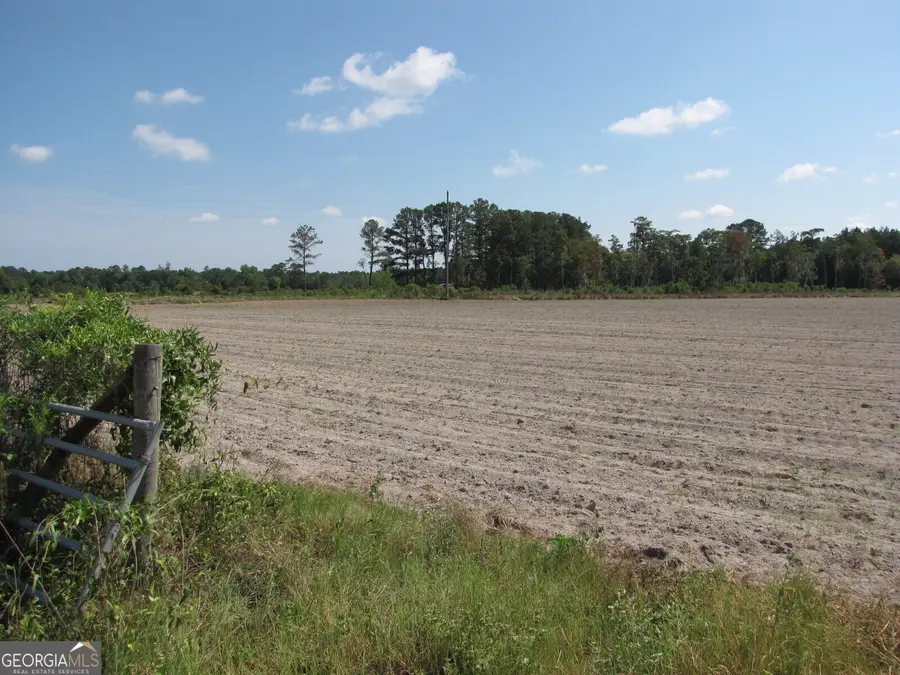 0 Old Louisville Road, Oliver, GA 30449 - #2