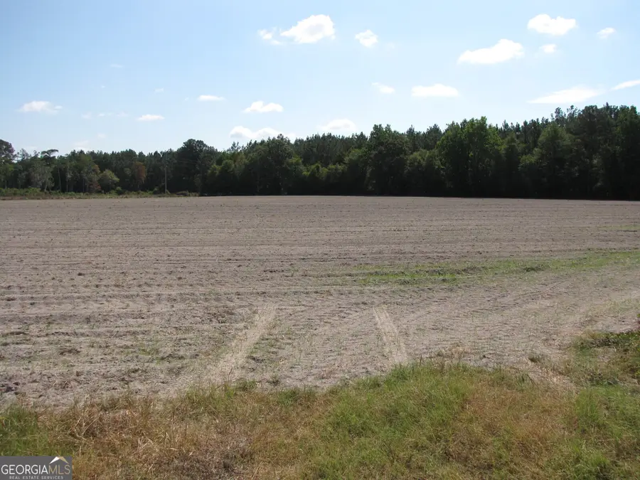 0 Old Louisville Road, Oliver, GA 30449 - #3