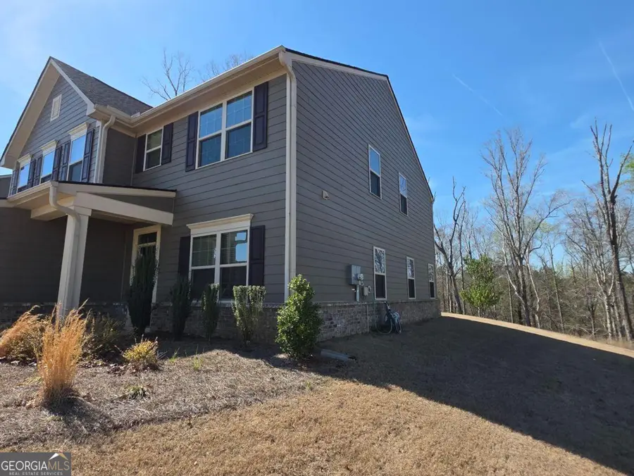 1029 Climbing Rose Way, McDonough, GA 30253 - #2