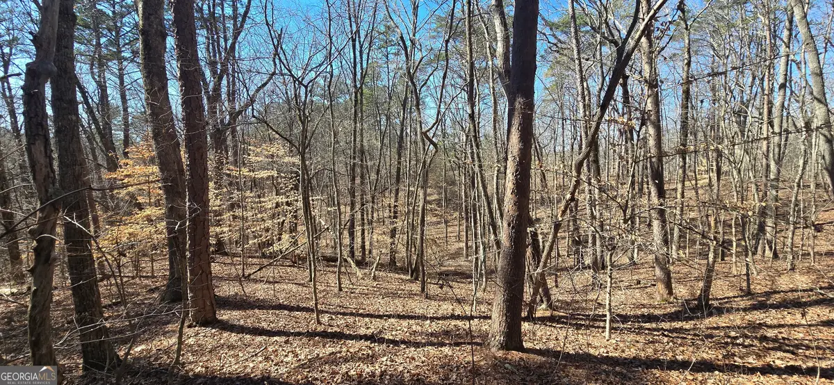 TRACT 2 Friendship Trail, Talking Rock, GA 30175 - #1