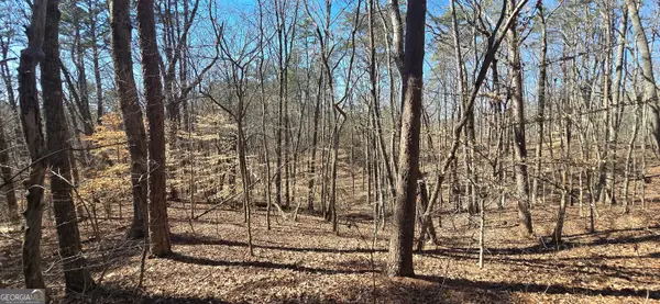 TRACT 2 Friendship Trail, Talking Rock, GA 30175