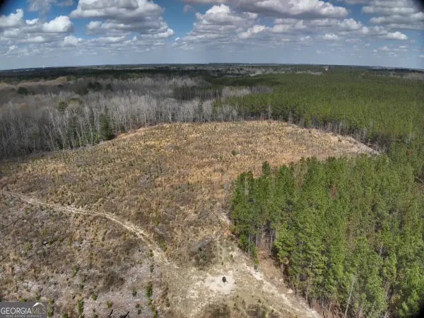 0 Cypress Creek Road, Wrightsville, GA 31096