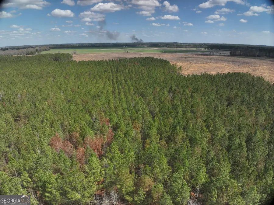 0 Cypress Creek Road, Wrightsville, GA 31096 - #2