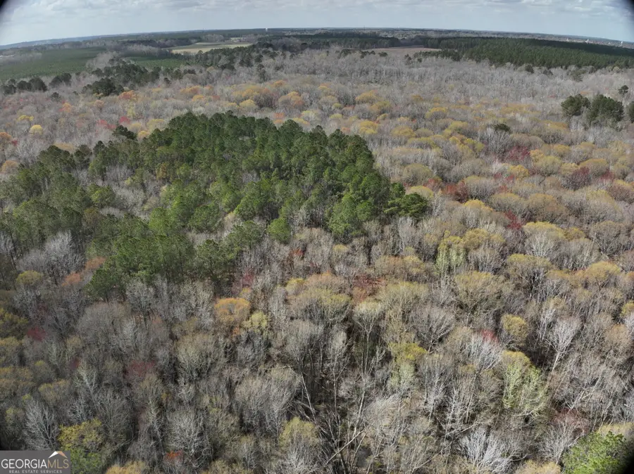 0 Cypress Creek Road, Wrightsville, GA 31096 - #3