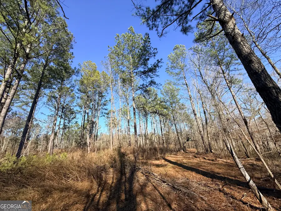 4 Sun Hill Grange Road, Davisboro, GA 31018 - #2