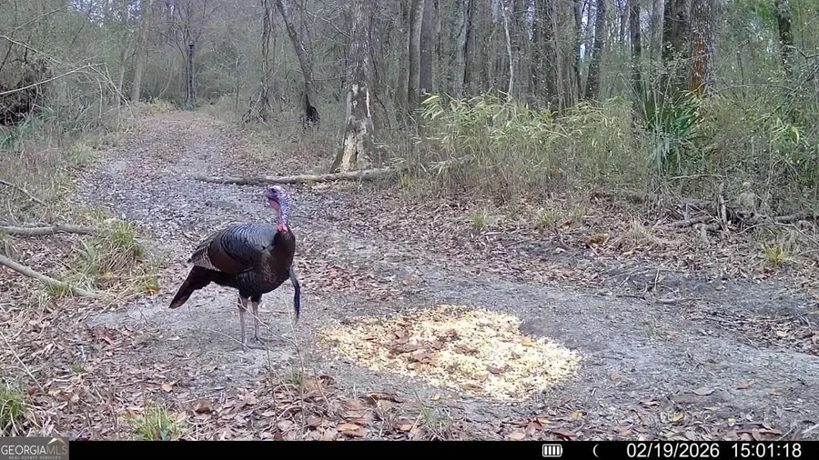 0 Charles Street, Vienna, GA 31092 - #3