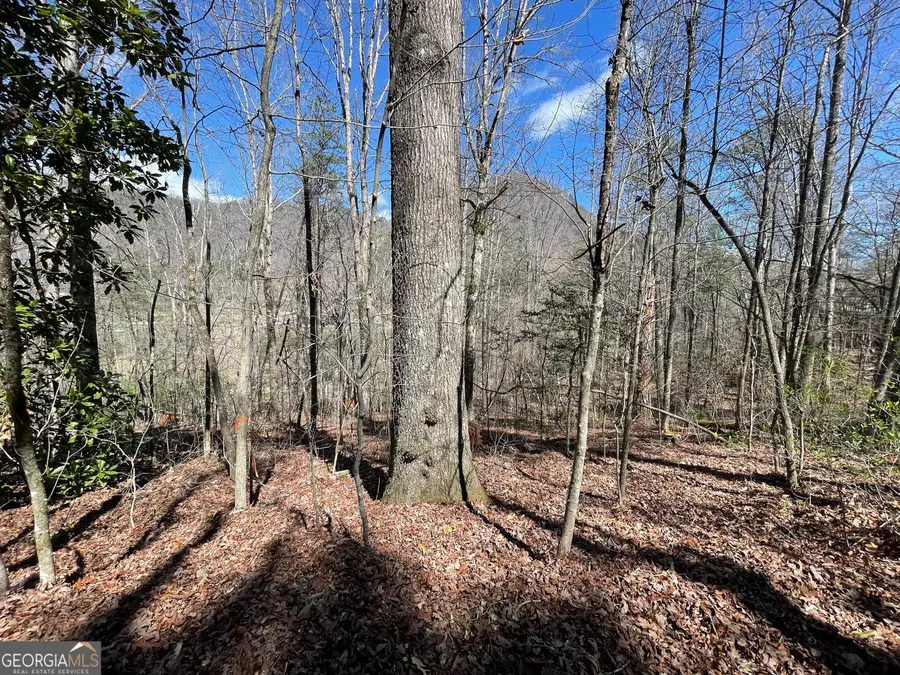 0 Bridge Creek Road, Tiger, GA 30576 - #2