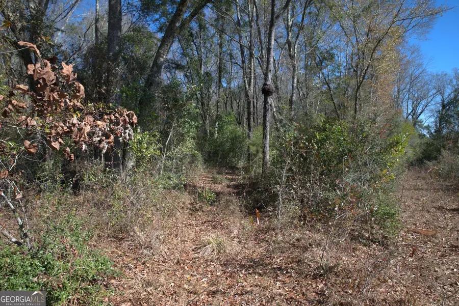 920 Cordele Road, Albany, GA 31705 - #3