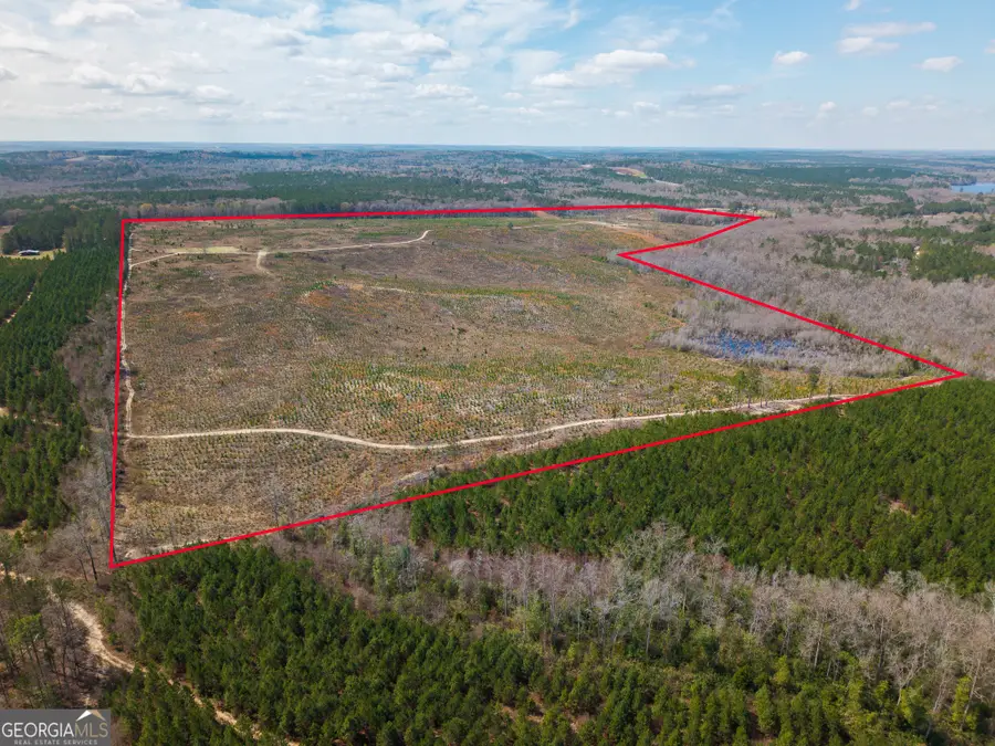 3 Laurel Branch Road, Gordon, GA 31031 - #2