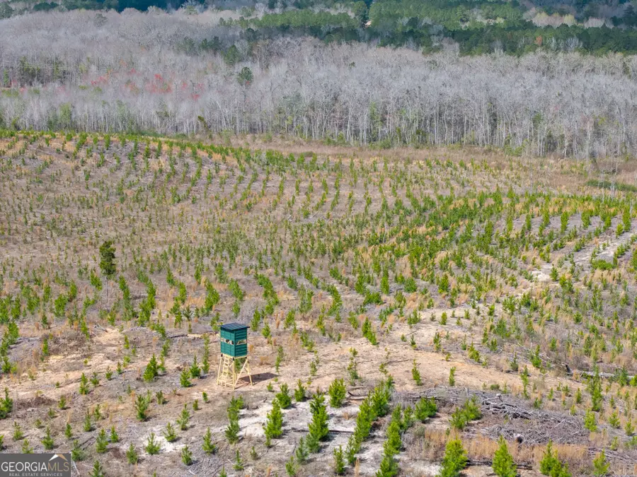 3 Laurel Branch Road, Gordon, GA 31031 - #3