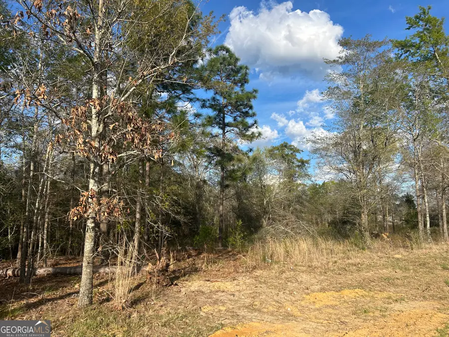 0 Highway 80 E, Brooklet, GA 30415 - #2