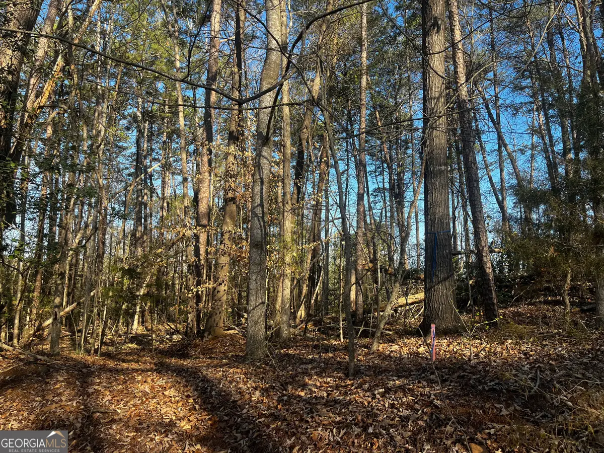 0 Alpine Way, Lavonia, GA 30553 - #1