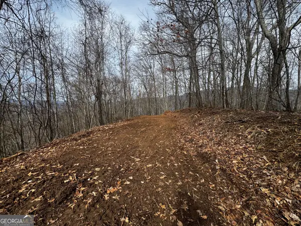 20 ACRES Burnt Leaf Lane, Hayesville, NC 28904