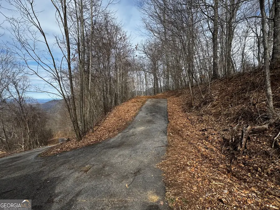 20 ACRES Burnt Leaf Lane, Hayesville, NC 28904 - #2