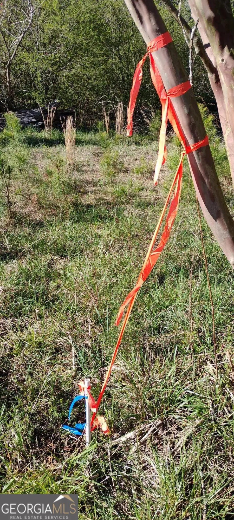 0 Lower Mill Road, Crawfordville, GA 30631 - #3