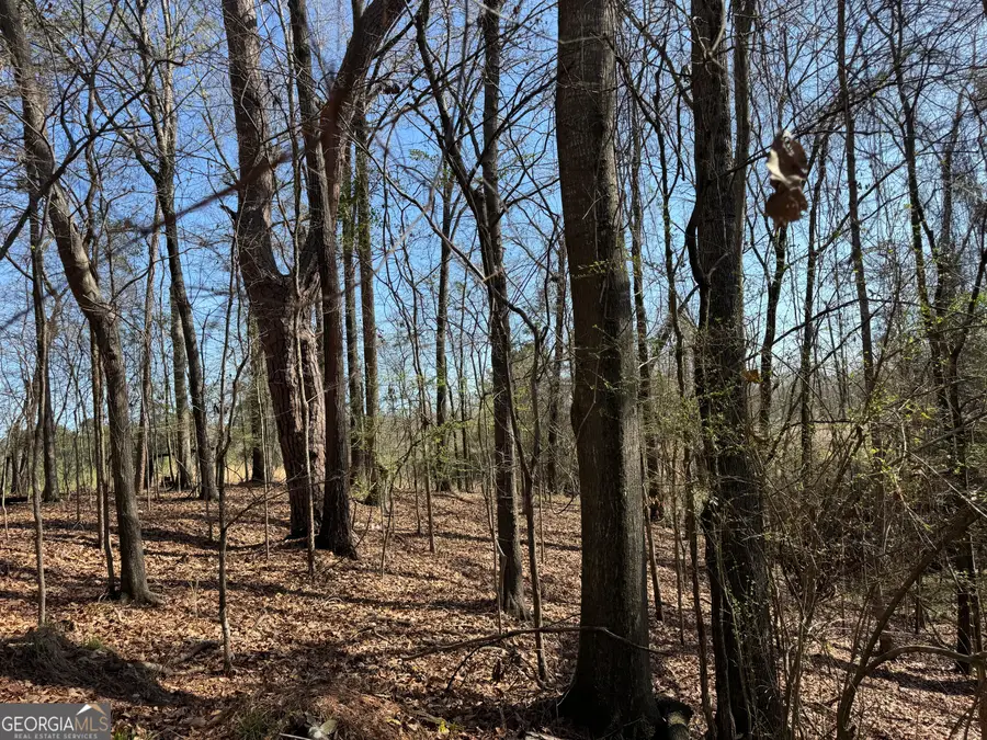 1972 Wood Valley Road, Macon, GA 31211 - #3