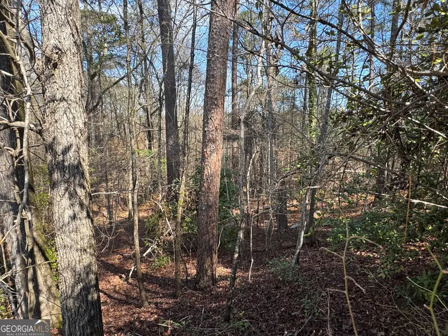 1954 Wood Valley Road, Macon, GA 31211 - #2