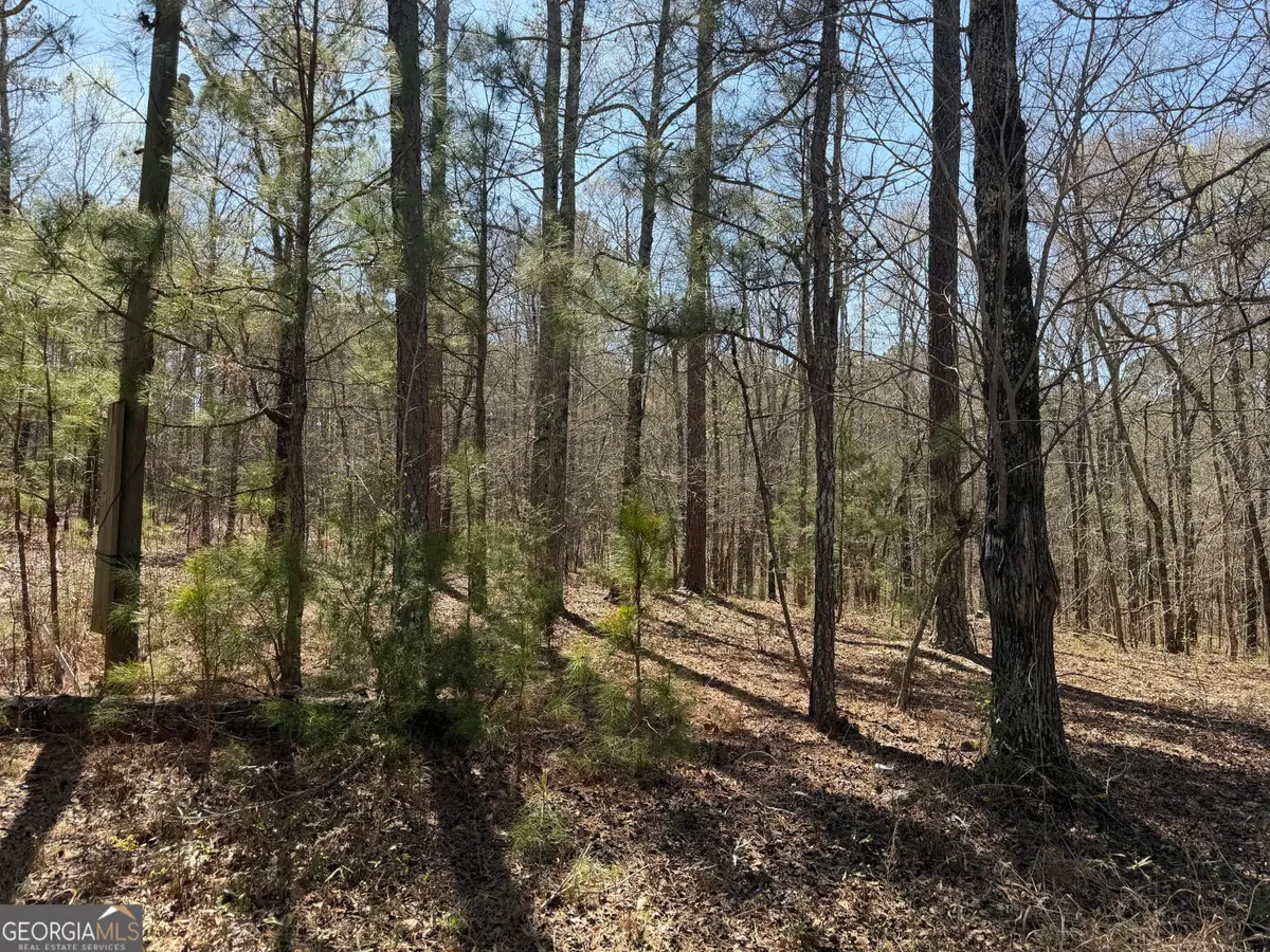 1430 Cleveland Farm Road, Locust Grove, GA 30248 - #1