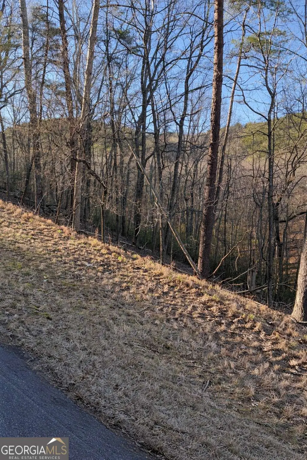 282 Chickasaw Drive, Waleska, GA 30183 - #1