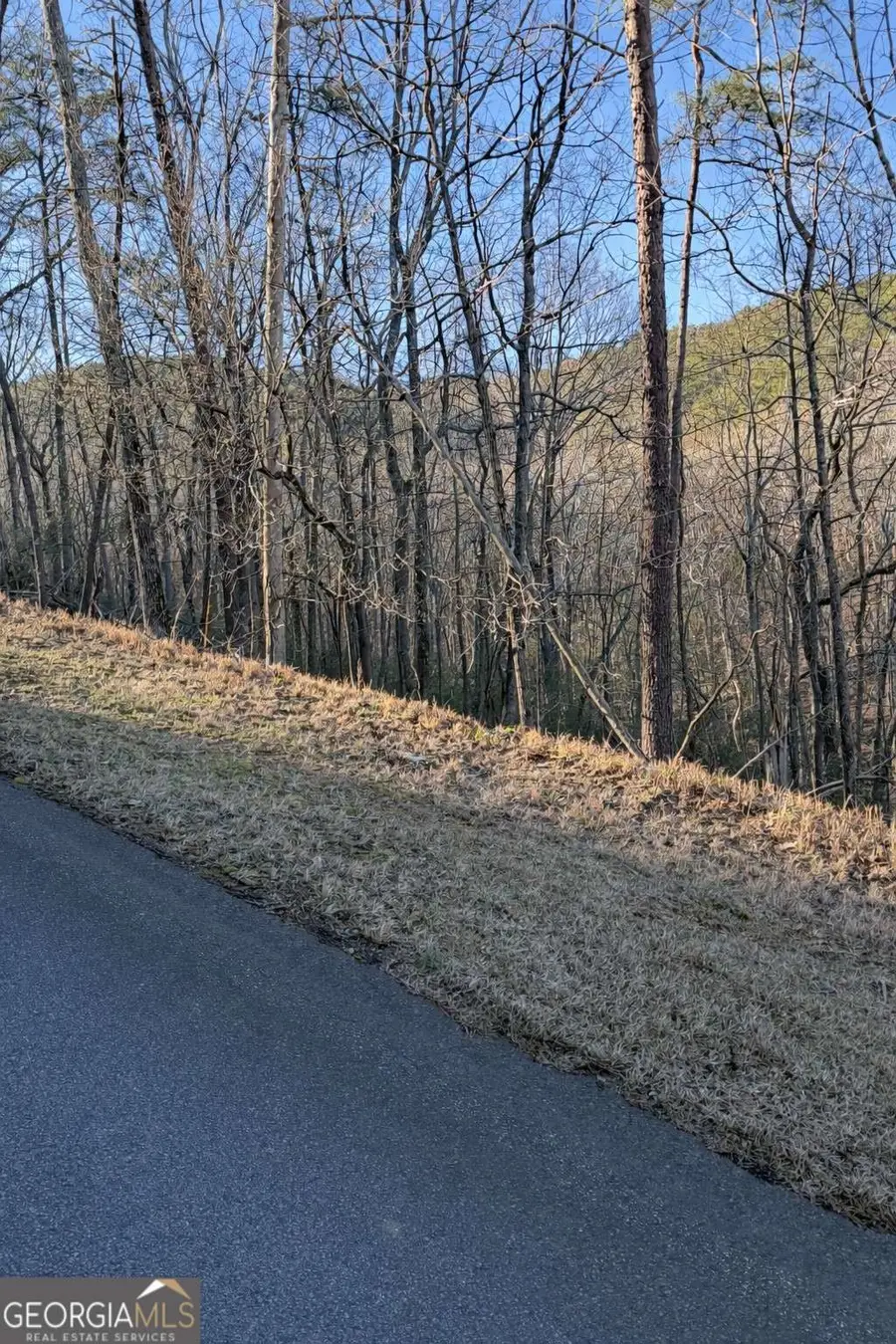 282 Chickasaw Drive, Waleska, GA 30183 - #2