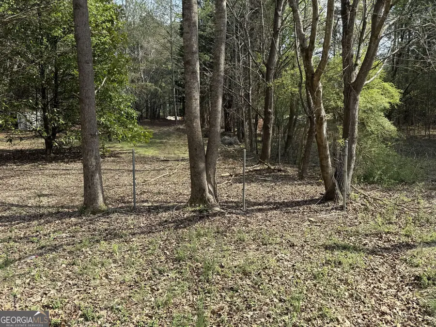 265 W Union Grove Circle, Auburn, GA 30011 - #3