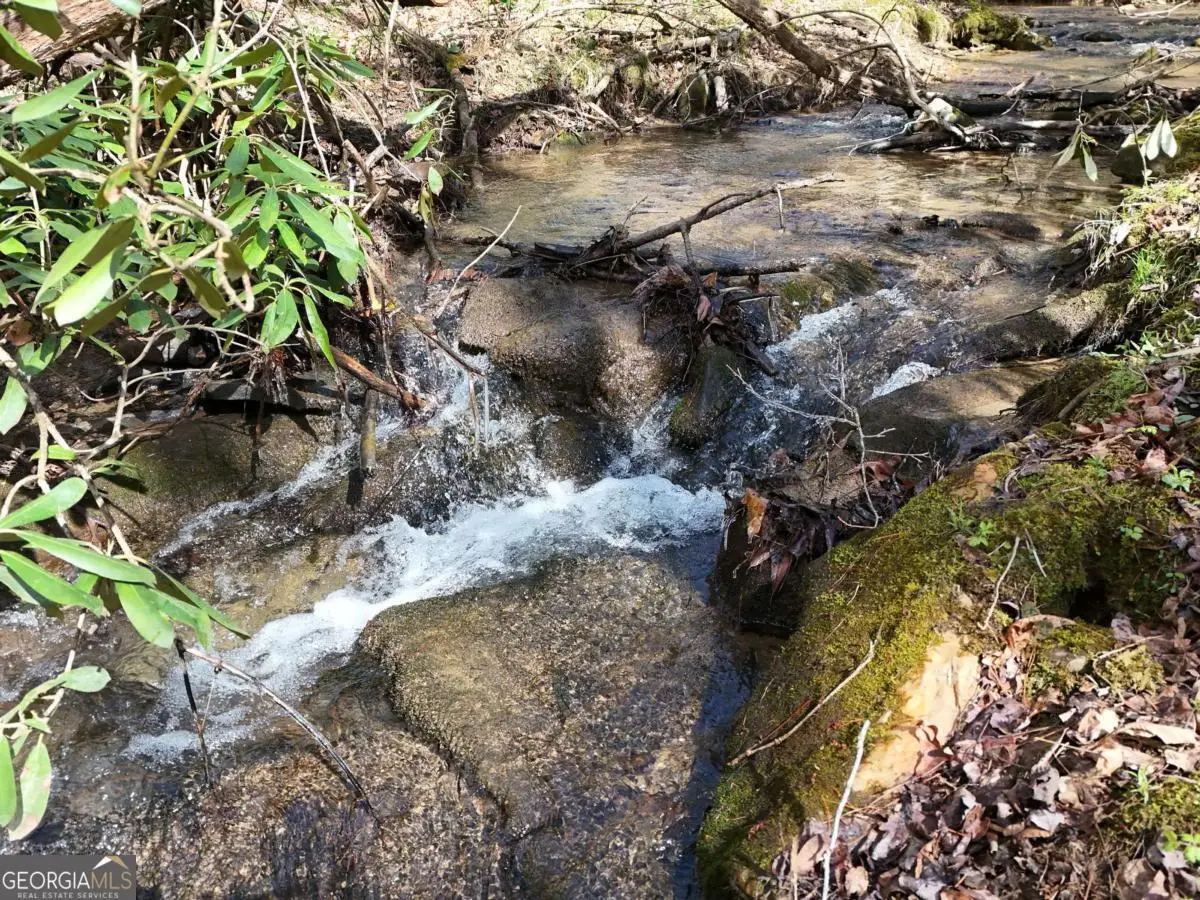 LOT 44B Synacia Drive, Mineral Bluff, GA 30559 - #1