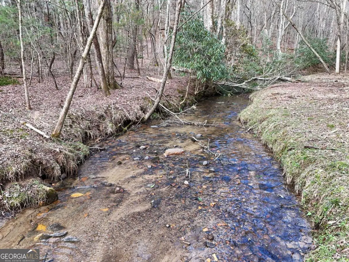LOT 45B Synacia Drive, Mineral Bluff, GA 30559 - #1