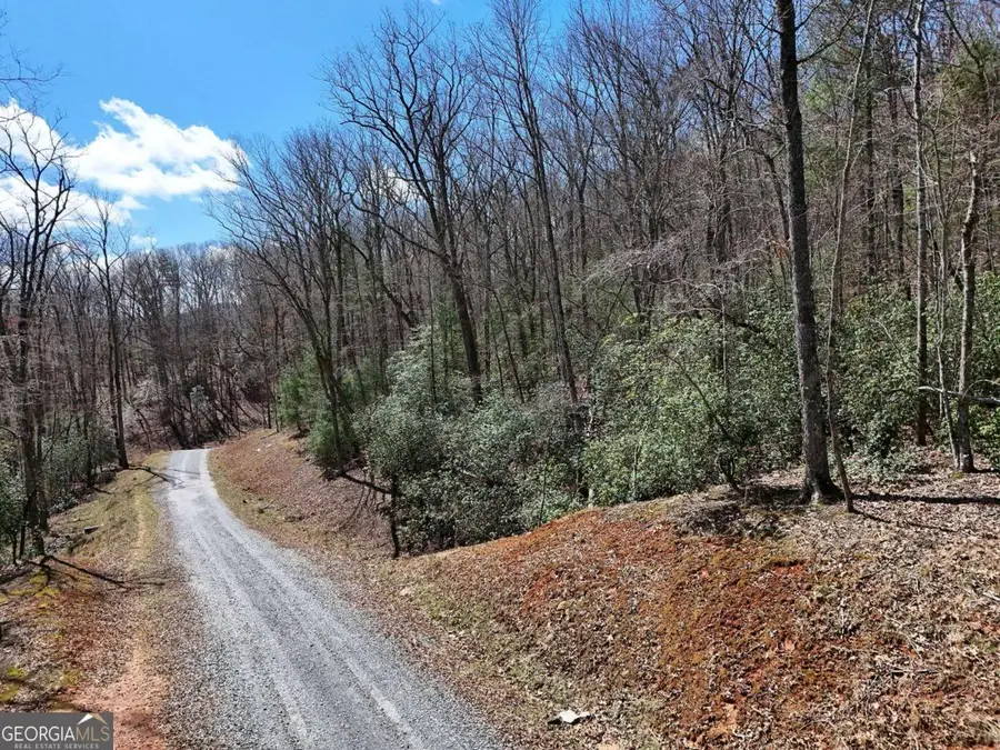 LOT 15 Native Trail, Blue Ridge, GA 30513 - #2