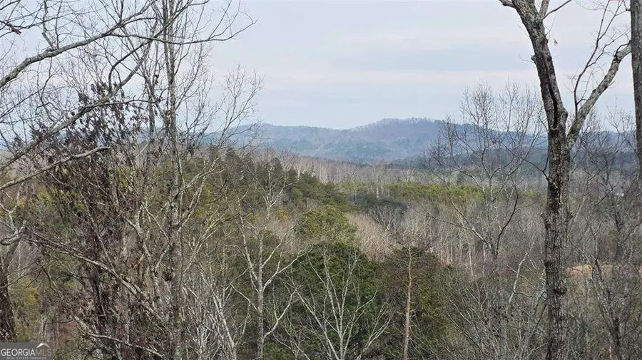 611 Pack Road Ne, Ranger, GA 30734 - #3