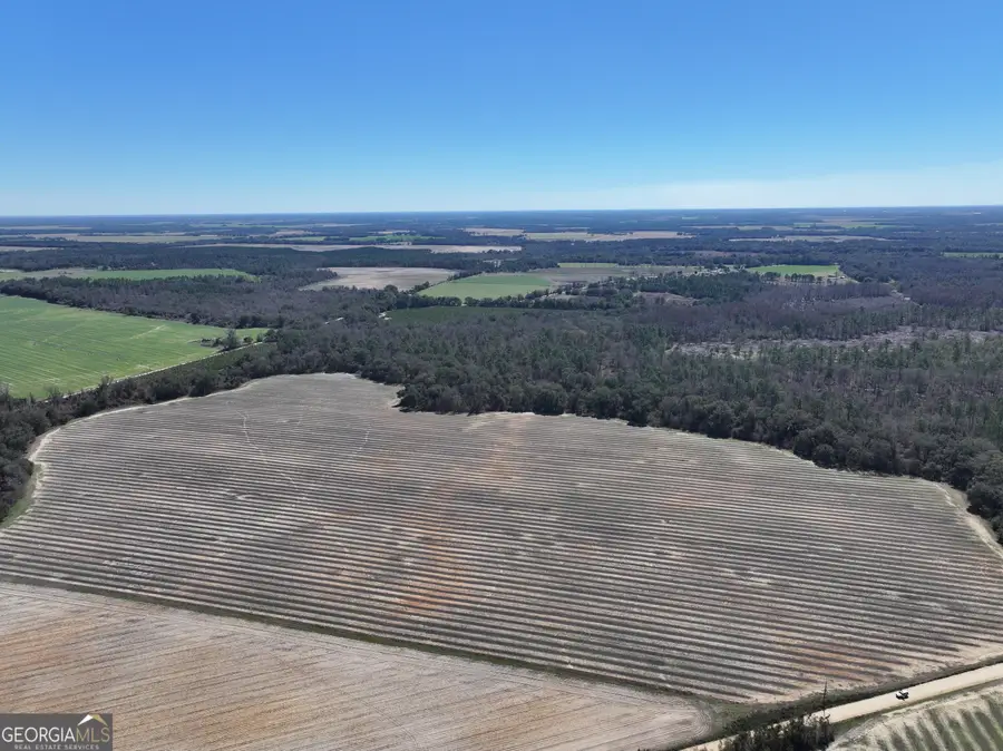 2430 Big Oak Road, Damascus, GA 39841 - #2