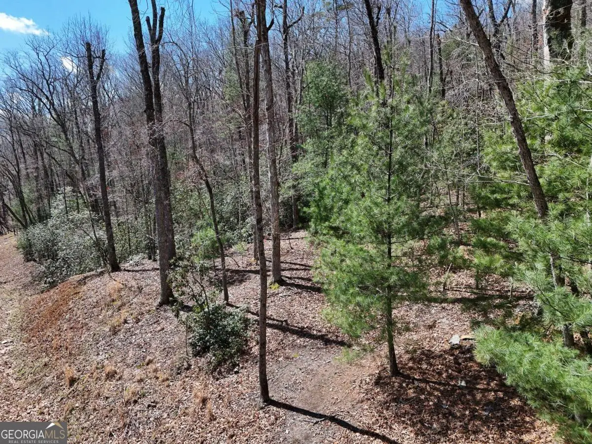 LOT 9 Native Trail, Blue Ridge, GA 30513 - #1