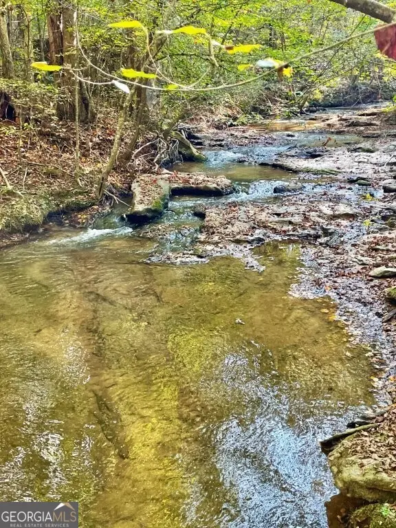 0 Highway 36, Jackson, GA 30233 - #1