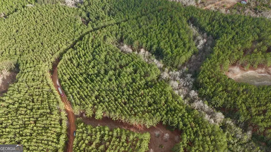 0 County Road 78, Milan, GA 31060 - #3