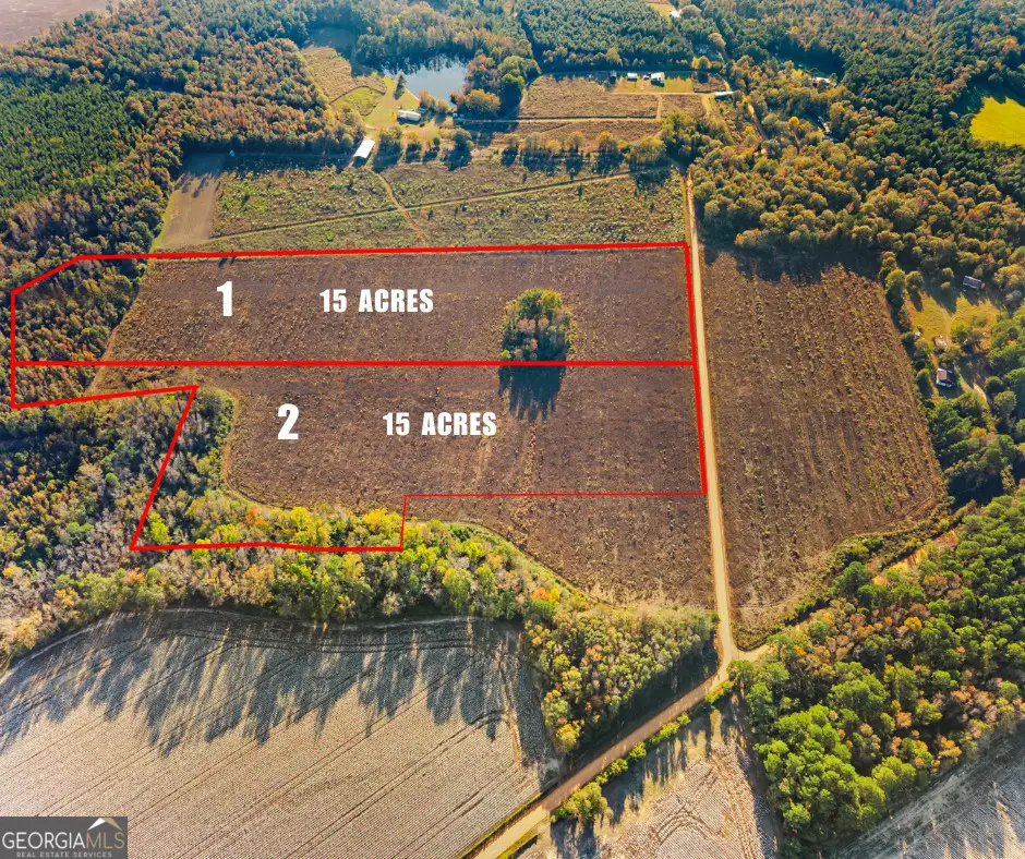 0 Waters Lane, Claxton, GA 30417 - #1