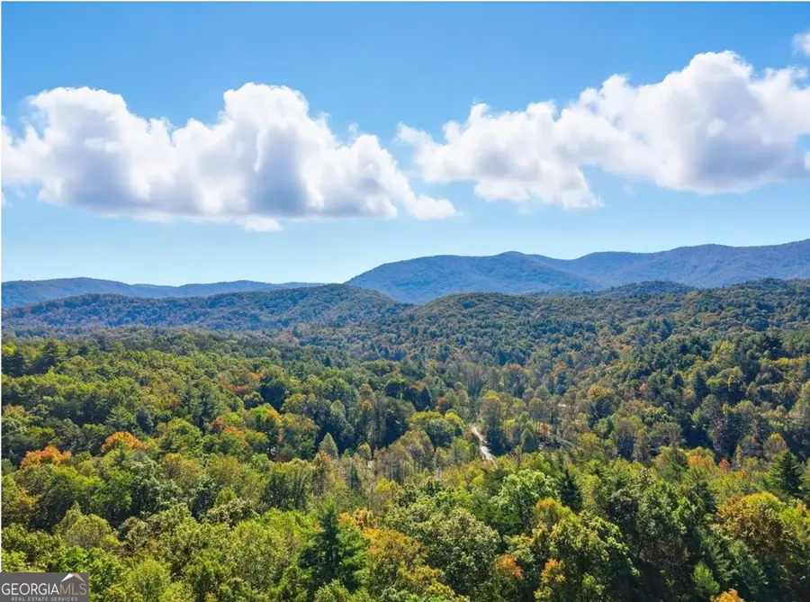 249 Settlement Road, Epworth, GA 30541 - #2