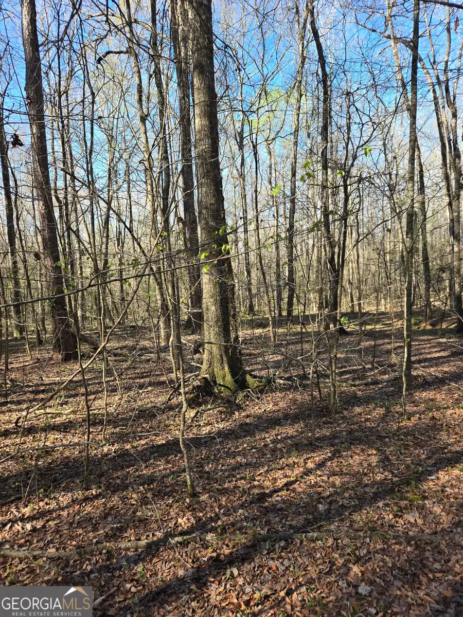 1381 Trestle Road, Locust Grove, GA 30248 - #3