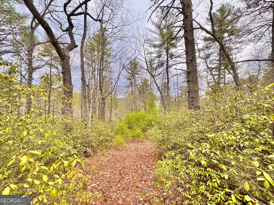 0 Long Mountain Drive #LOT 1 & 3, Lakemont, GA 30552 - #2