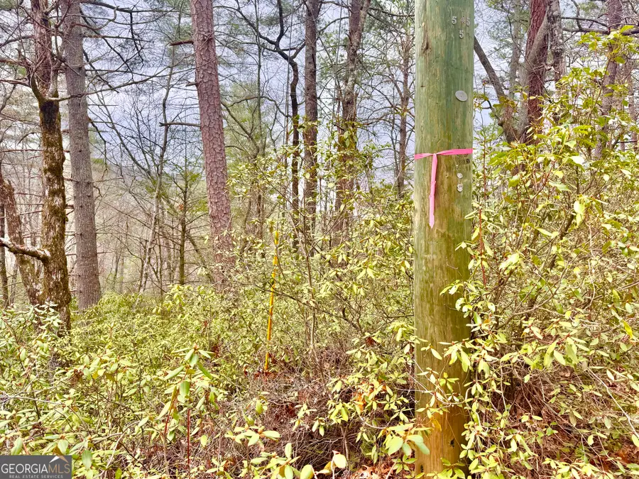 0 Long Mountain Drive #LOT 1 & 3, Lakemont, GA 30552 - #3