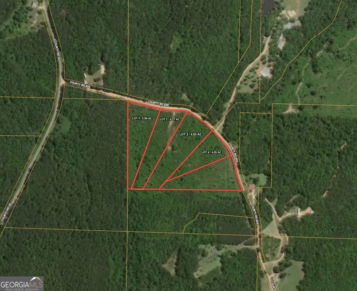 0 W County Road 655 #LOT 1, Roanoke, AL 36274 - #1