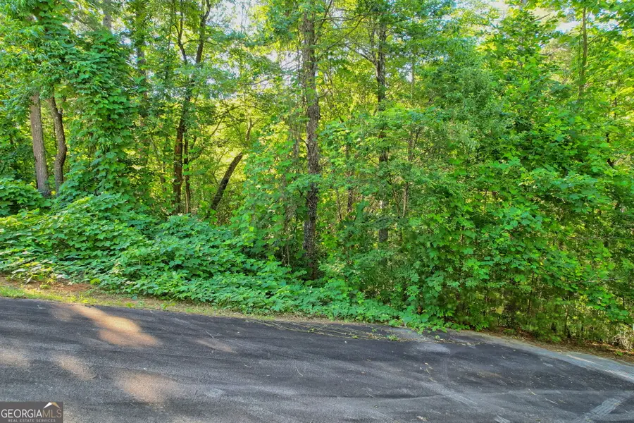 LOT 112 Timber Creek Drive, Clayton, GA 30525 - #3