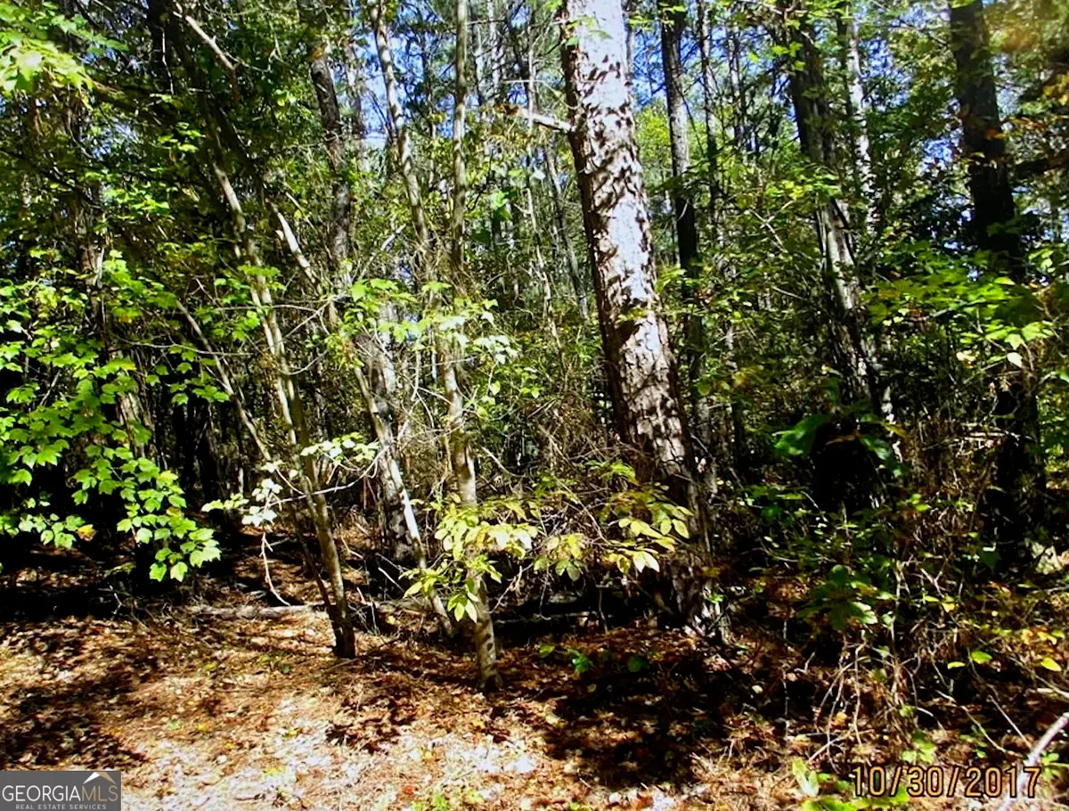 1404 Northgate Drive, Villa Rica, GA 30180 - #1