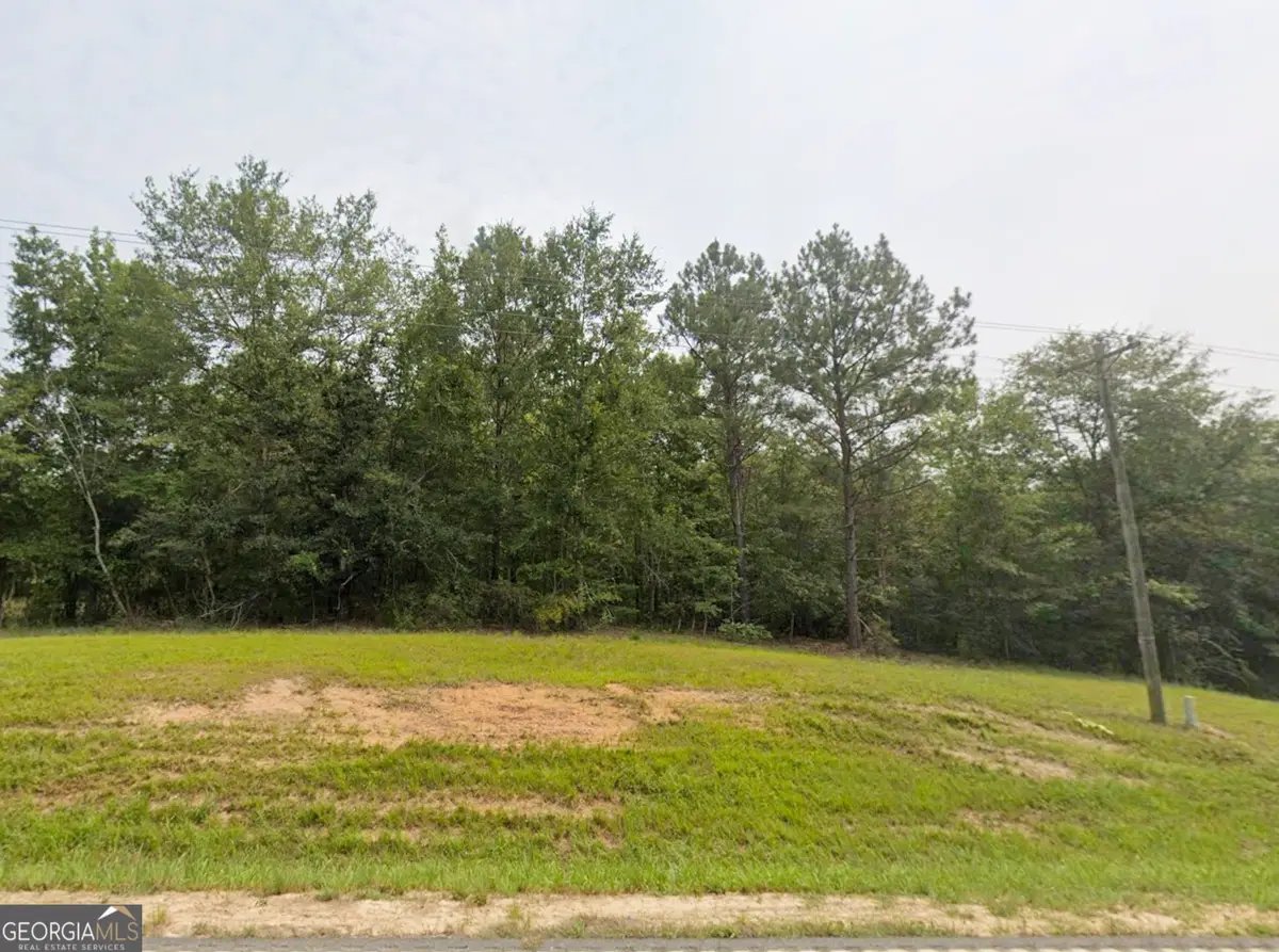 TBD E Old Wire Road #12, Butler, GA 31006 - #1