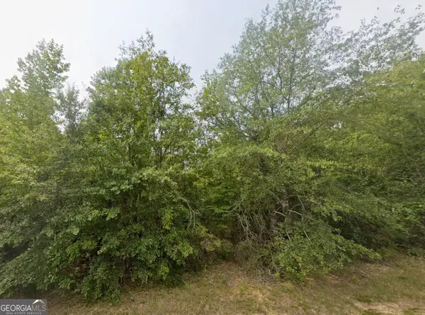 TBD E Old Wire Road #18, Butler, GA 31006