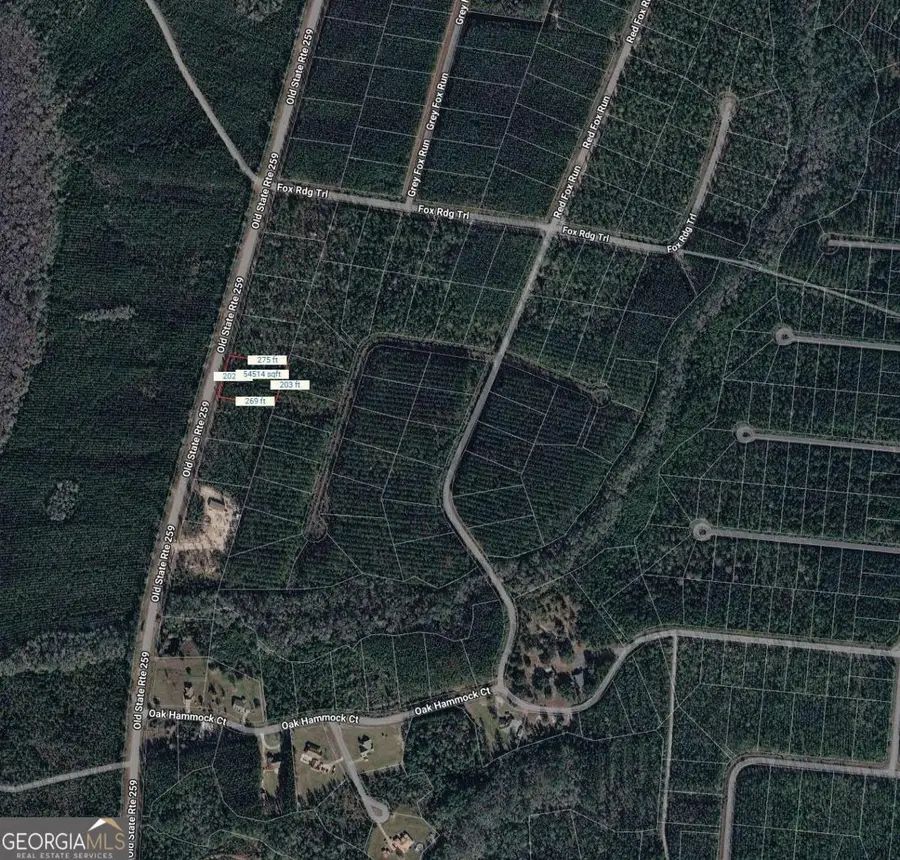 LOT27 Old State Rt 259, Waynesville, GA 31566 - #2