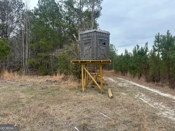 160 Landing Road, Sylvania, GA 30467