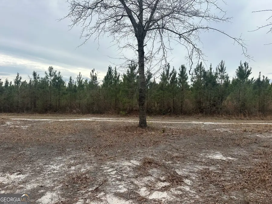 160 Landing Road, Sylvania, GA 30467 - #2