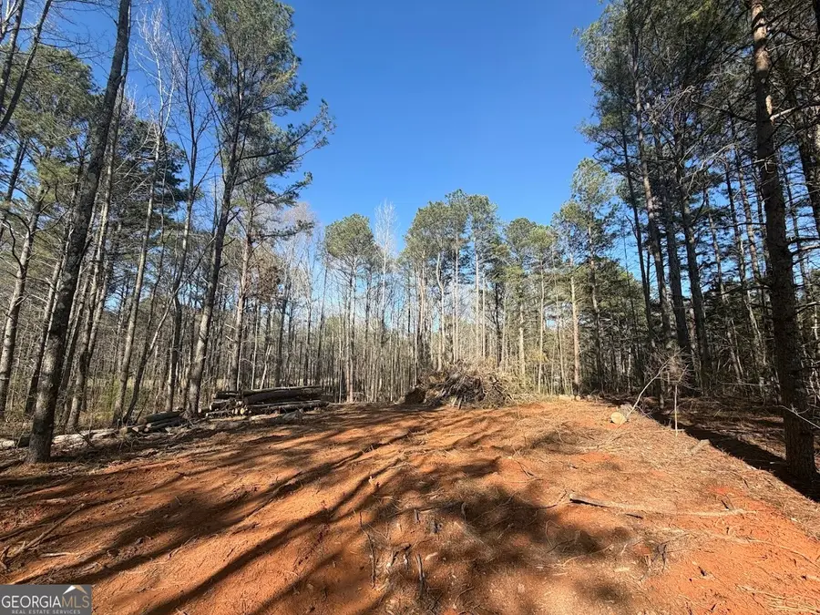 0 Waterford Road, Bremen, GA 30110 - #3