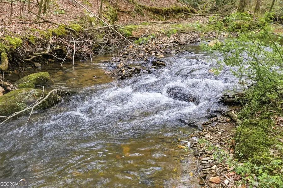 109 Clayton Gooch Road, Dahlonega, GA 30533 - #2