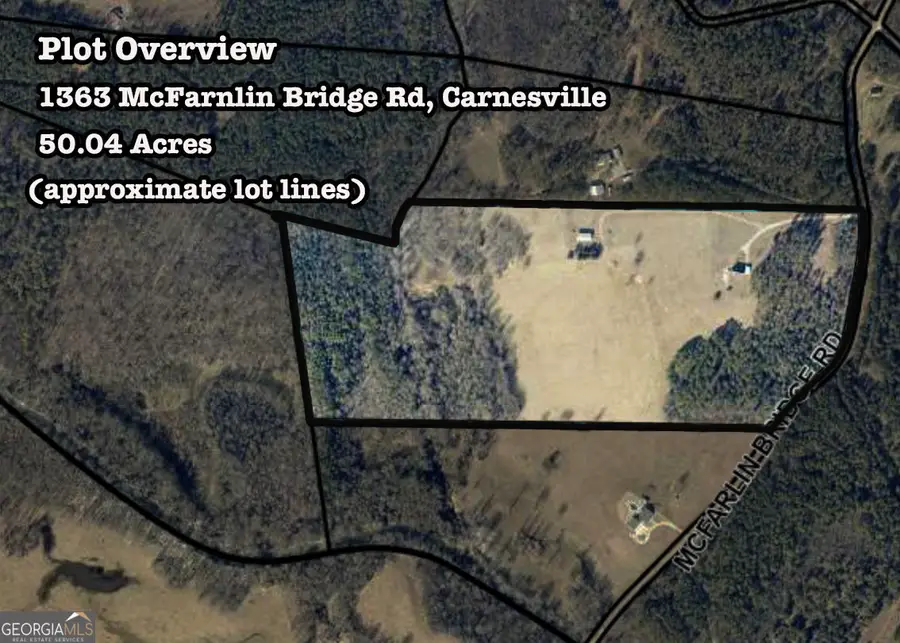 50 ACRES Mcfarlin Bridge, Carnesville, GA 30521 - #2