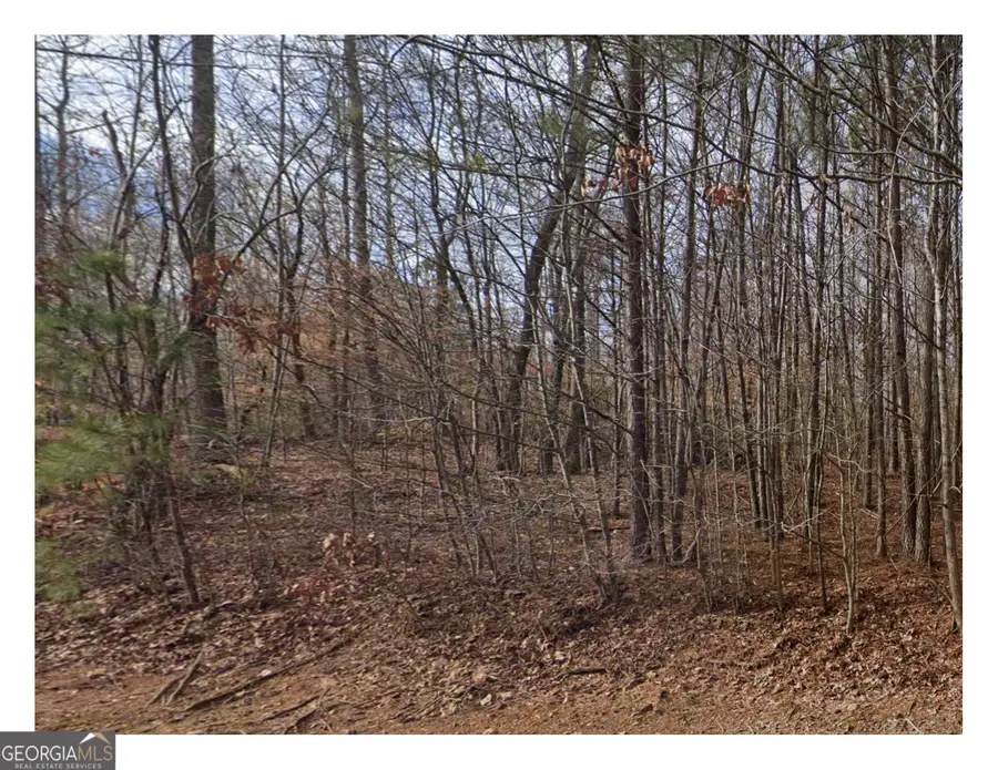 3281 Laura Lane, Douglasville, GA 30135 - #3